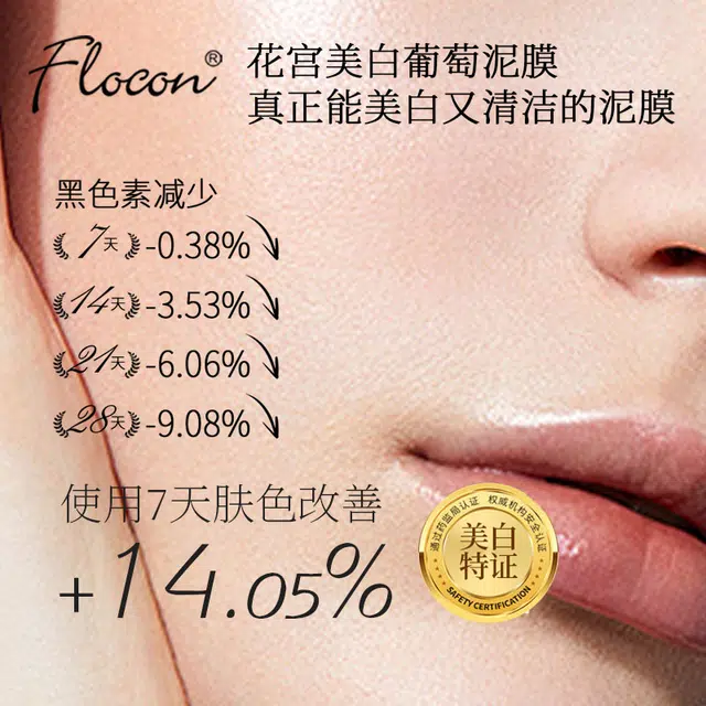 Flocon