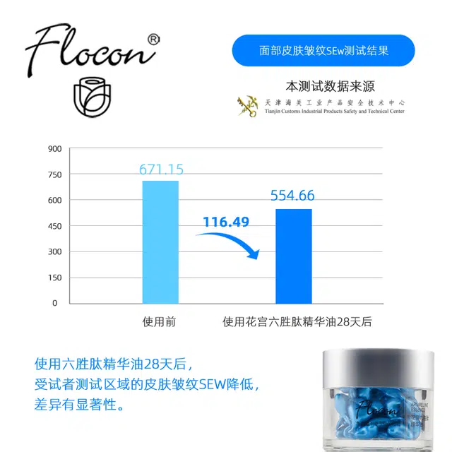Flocon10