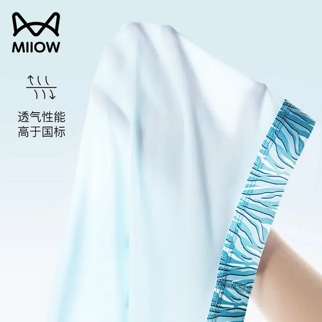 MIIOW 10A 4
