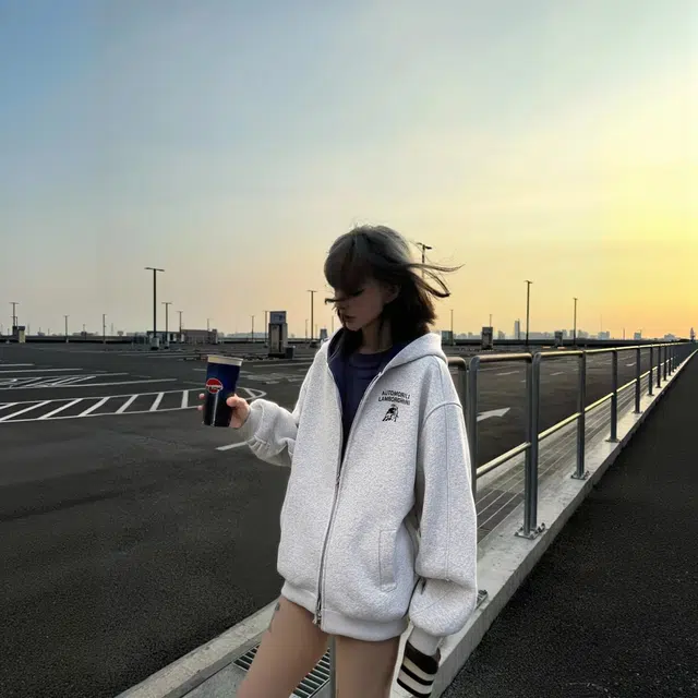 Automobili Lamborghini logo