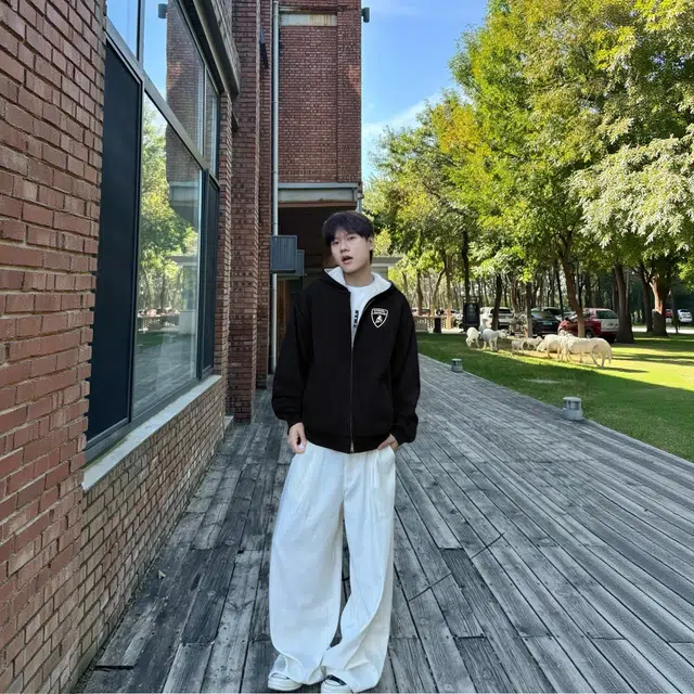 Automobili Lamborghini logo