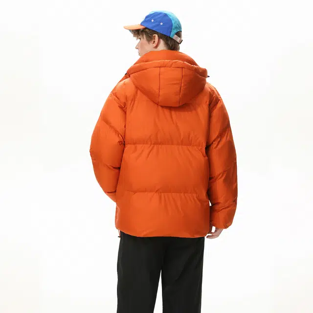 Automobili Lamborghini logo