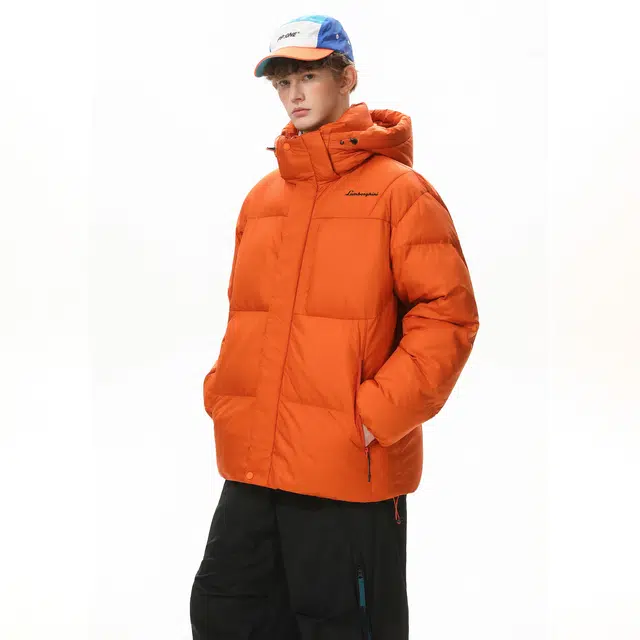 Automobili Lamborghini logo