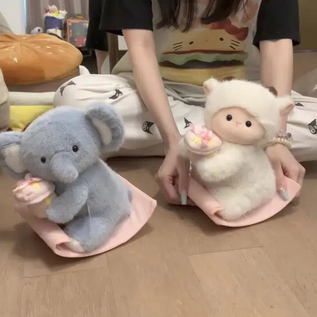 24cm30cm