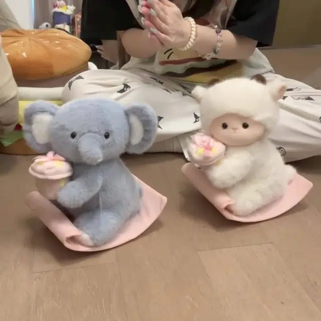 24cm30cm
