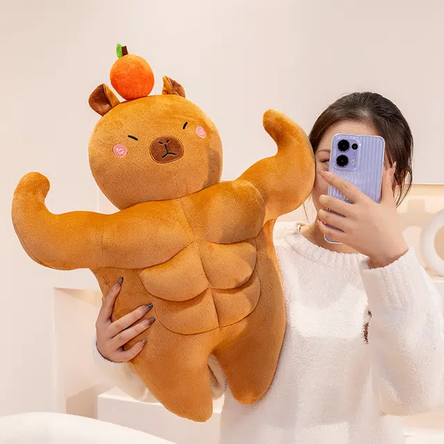 36cm58cm