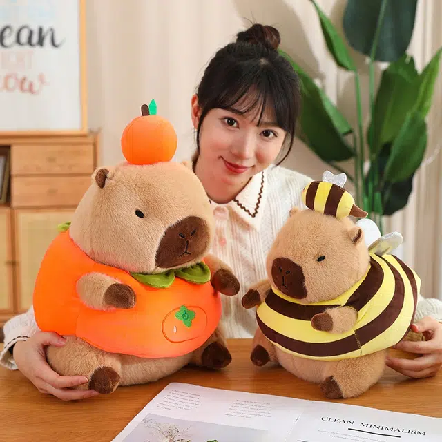 30cm40cm