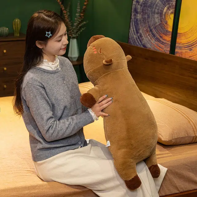 60cm80cm