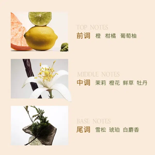 瑷菲诗 芦荟花御养焕发洗发露 清洁