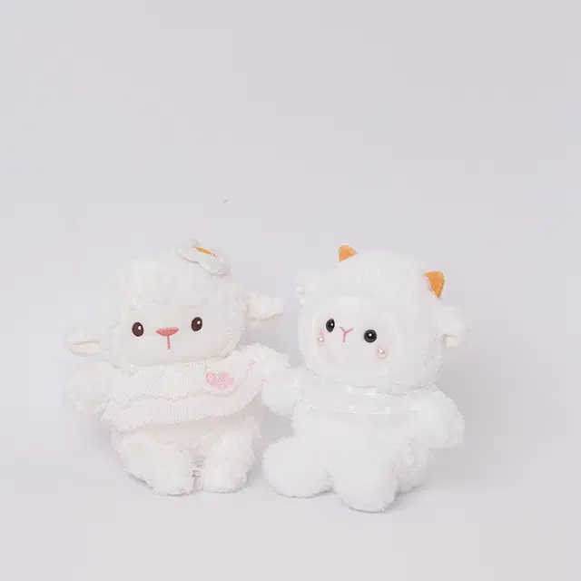 JBBCN 20cm
