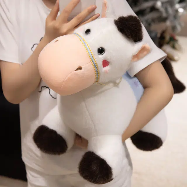 JBBCN 23cm35cm45cm