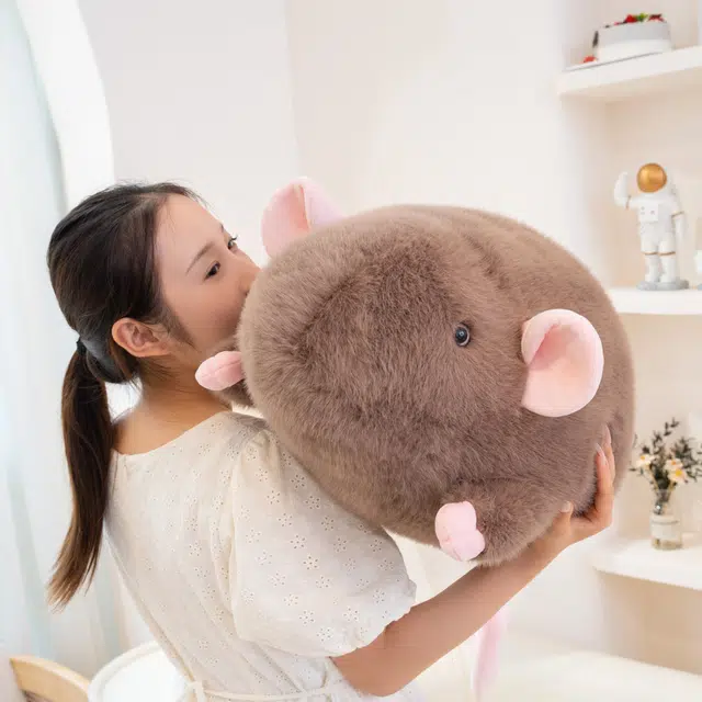 JBBCN 18cm35cm65cm