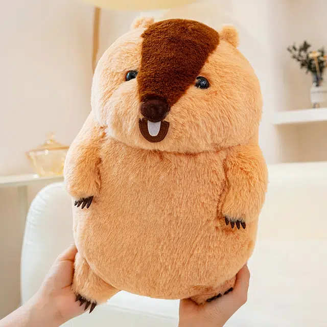 JBBCN 34cm40cm