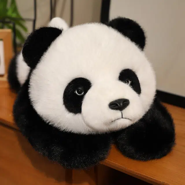 JBBCN 30cm45cm65cm