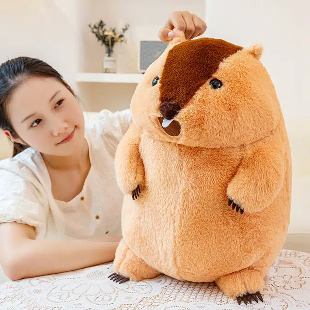 JBBCN 34cm40cm