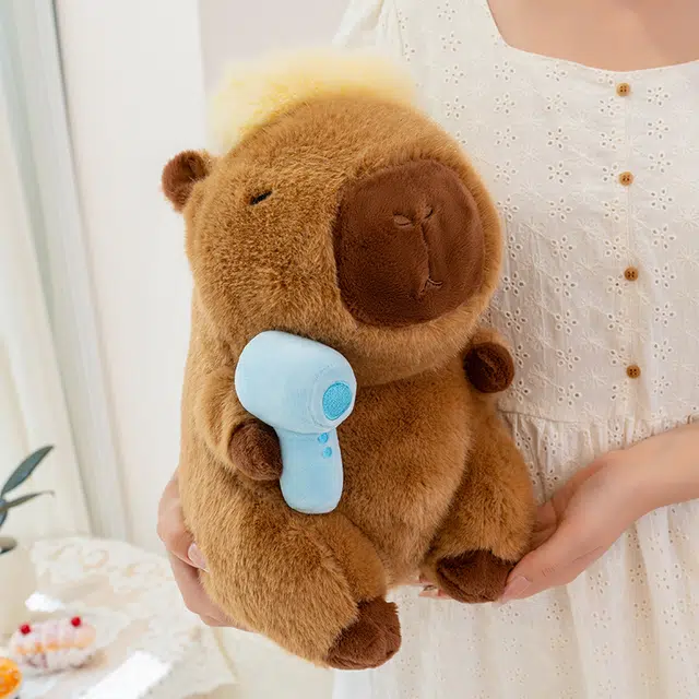 JBBCN 22cm30cm