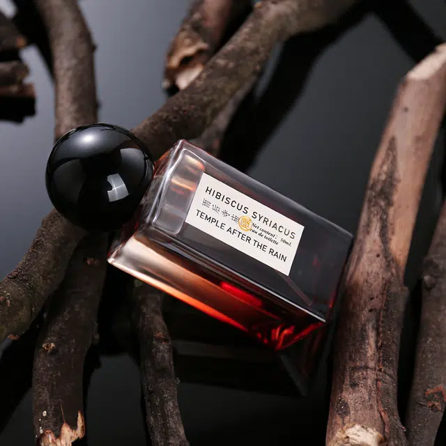 MAXFINE EDT