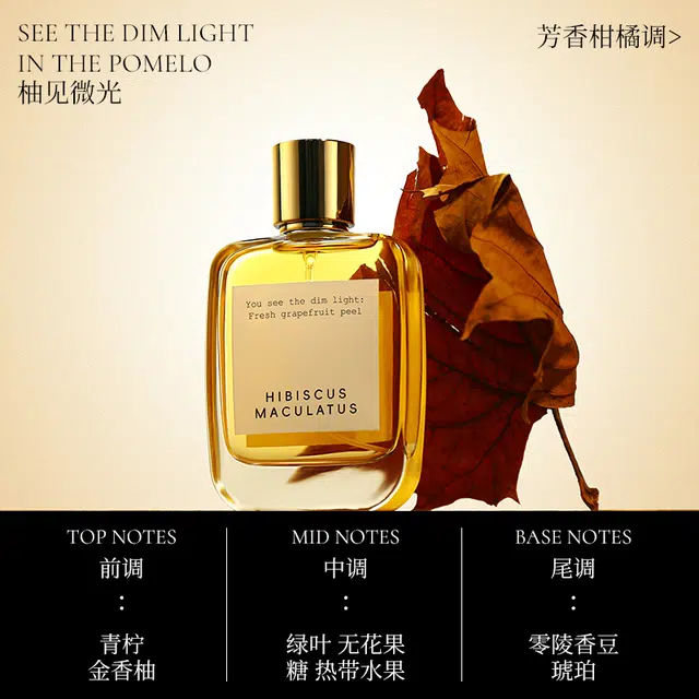 EDT 50ml