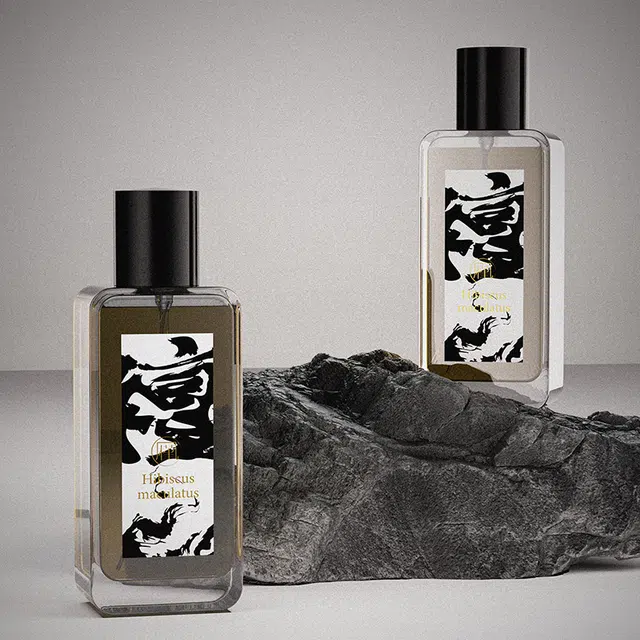 EDP 50ml