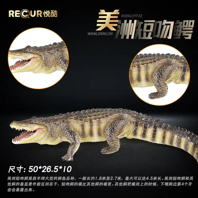 RECUR