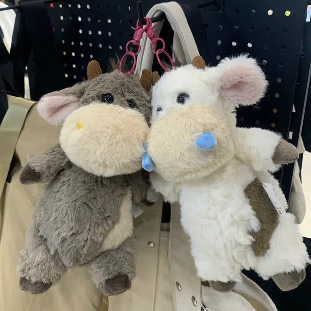 X2HOMME 25cm40cm60cm