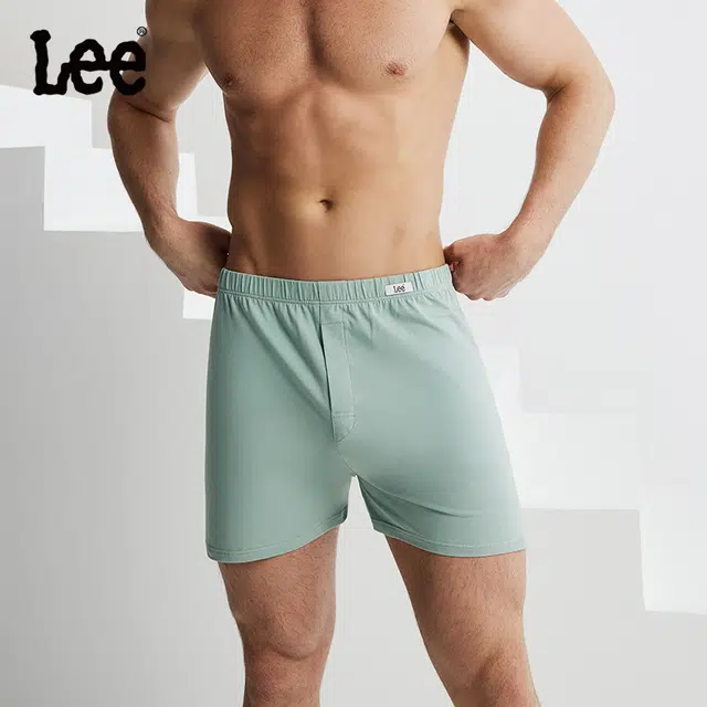 Lee 3