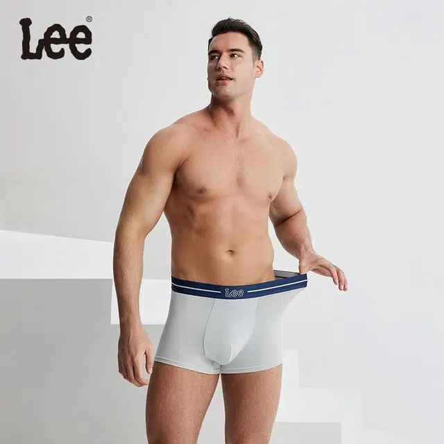 Lee logo 3