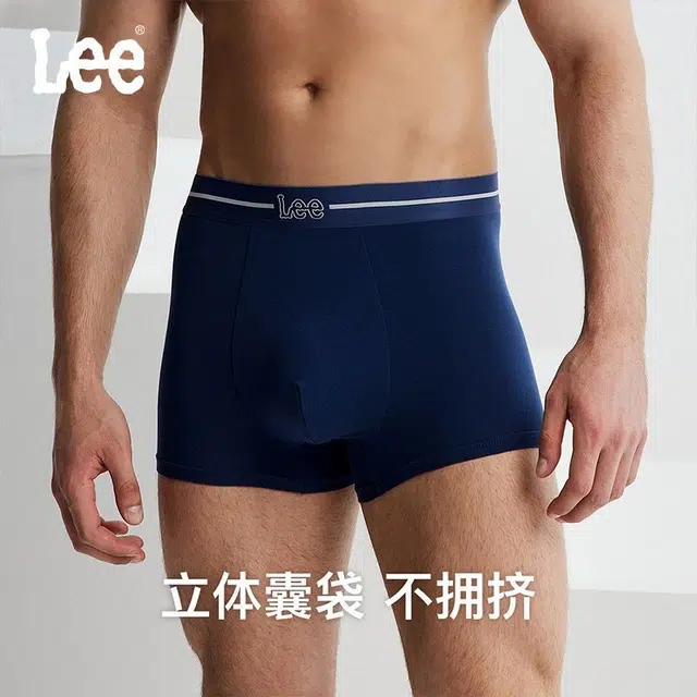 Lee logo 3