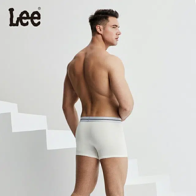 Lee logo 3