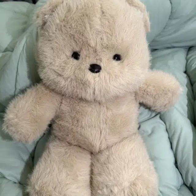 50cm30cm