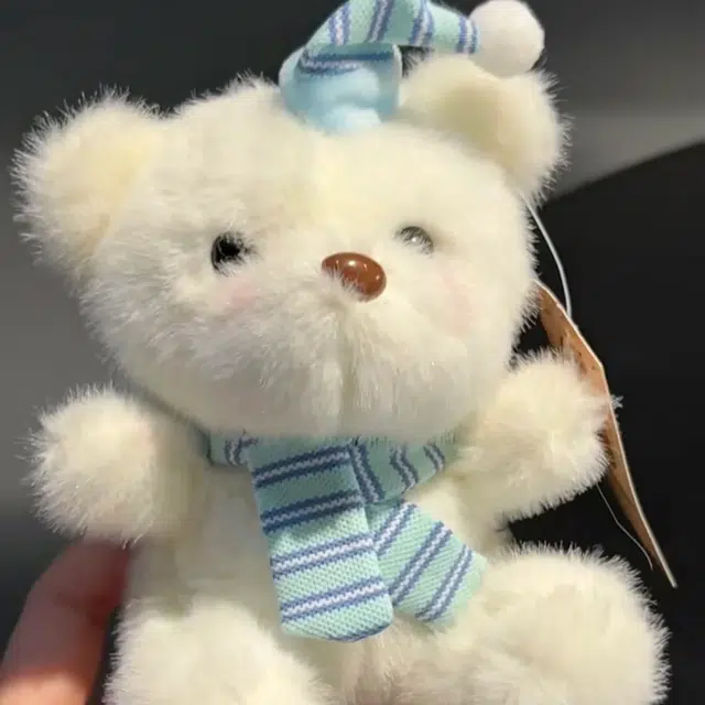 15cm