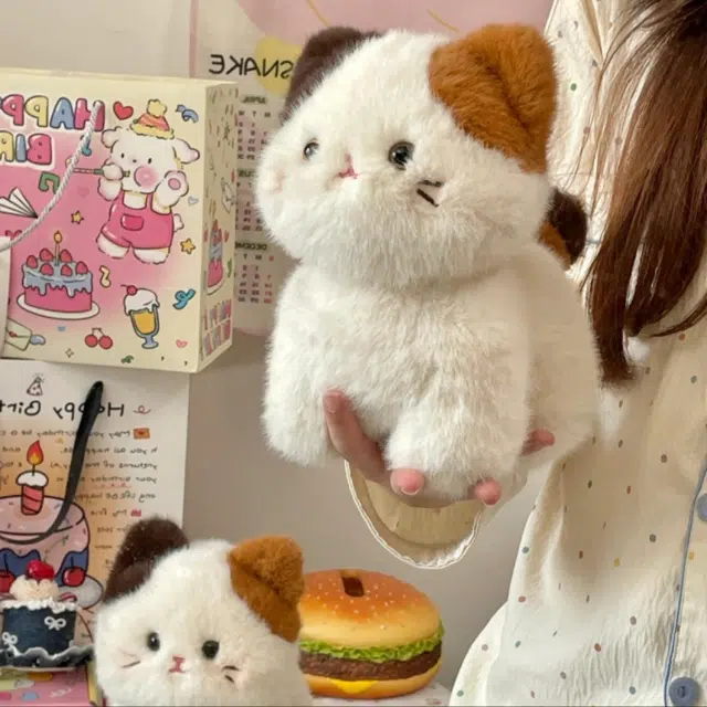 20cm