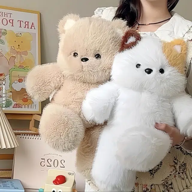 50cm30cm