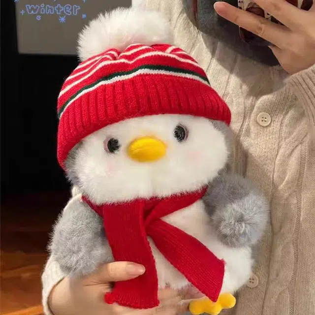 20m25cm