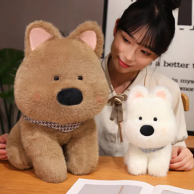 25cm35cm45cm