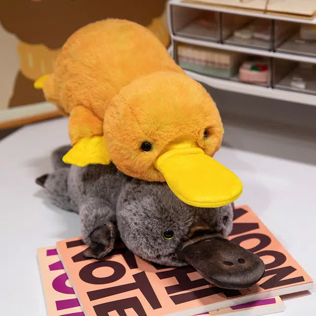 45cm