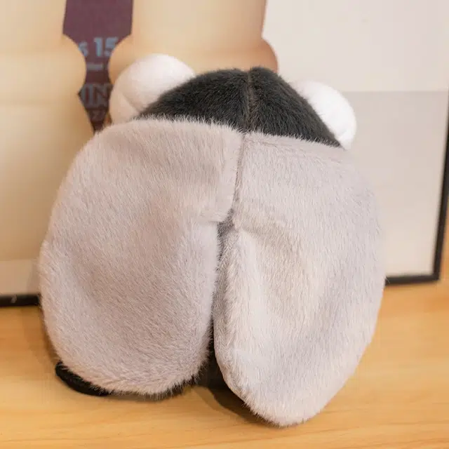 20cm