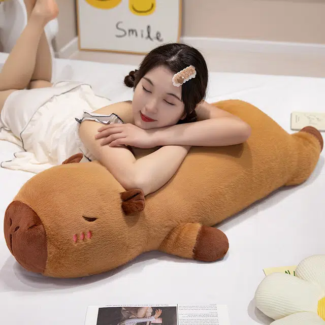 60cm80cm100cm