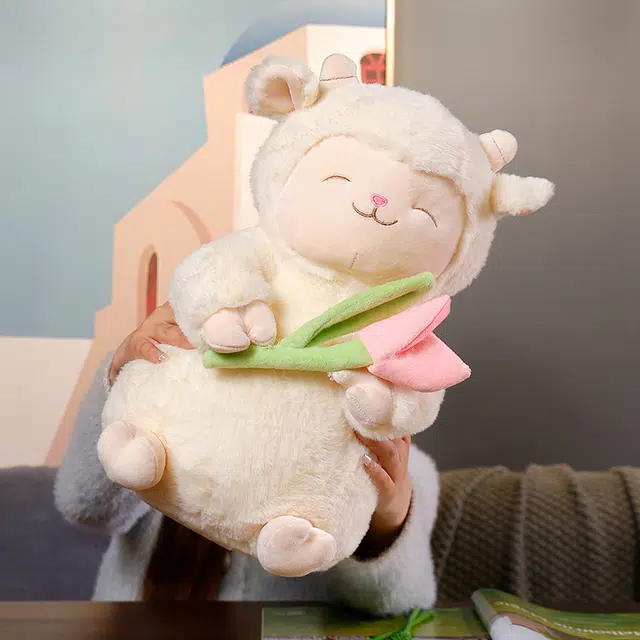 25cm40cm