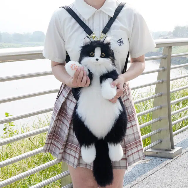 50cm