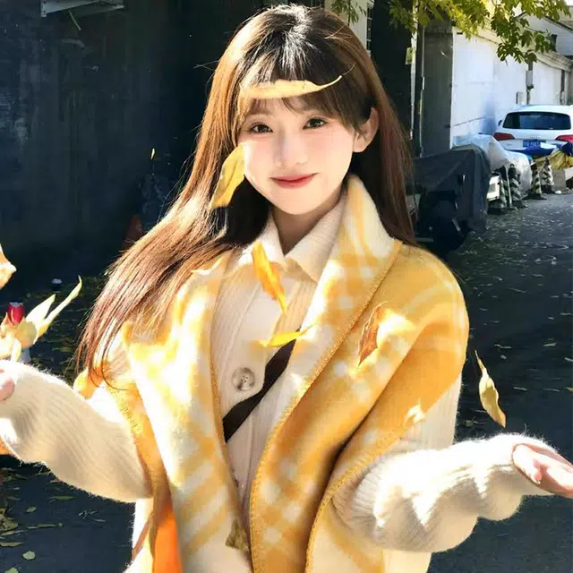 浪莎 高级感名媛风氛围感格子围巾女生秋冬季韩系氛围感百搭学生围脖披肩 礼盒装 绒线围巾 女款