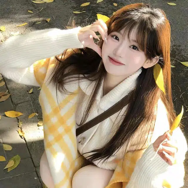 浪莎 高级感名媛风氛围感格子围巾女生秋冬季韩系氛围感百搭学生围脖披肩 礼盒装 绒线围巾 女款
