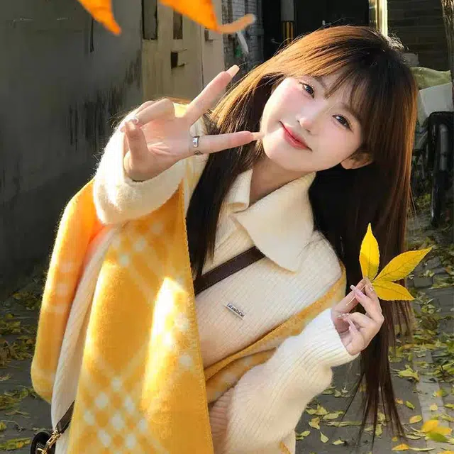 浪莎 高级感名媛风氛围感格子围巾女生秋冬季韩系氛围感百搭学生围脖披肩 礼盒装 绒线围巾 女款