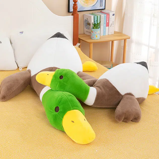 75cm100cm120cm160cm