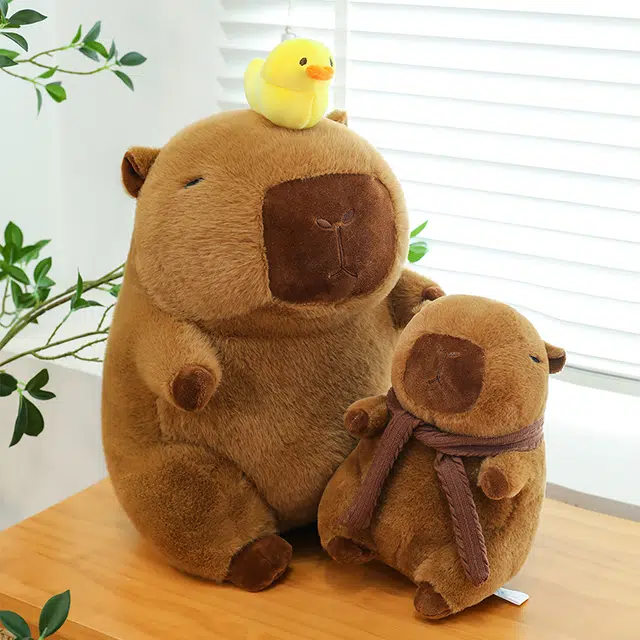 23cm30cm40cm50cm