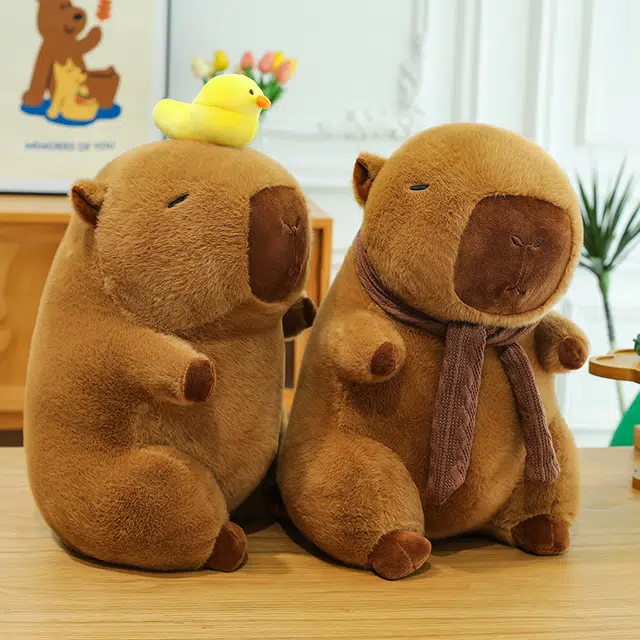 23cm30cm40cm50cm