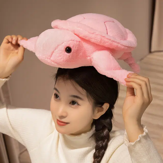 25cm35cm