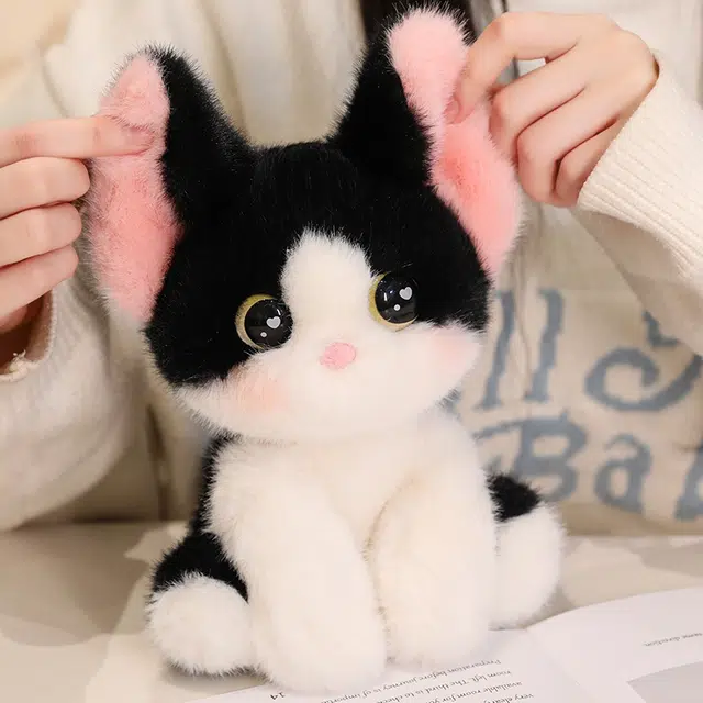18CM