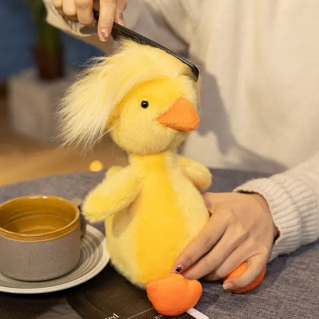 26cm