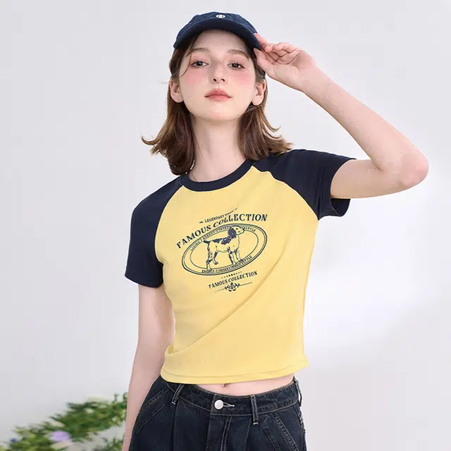 WESTLINK T